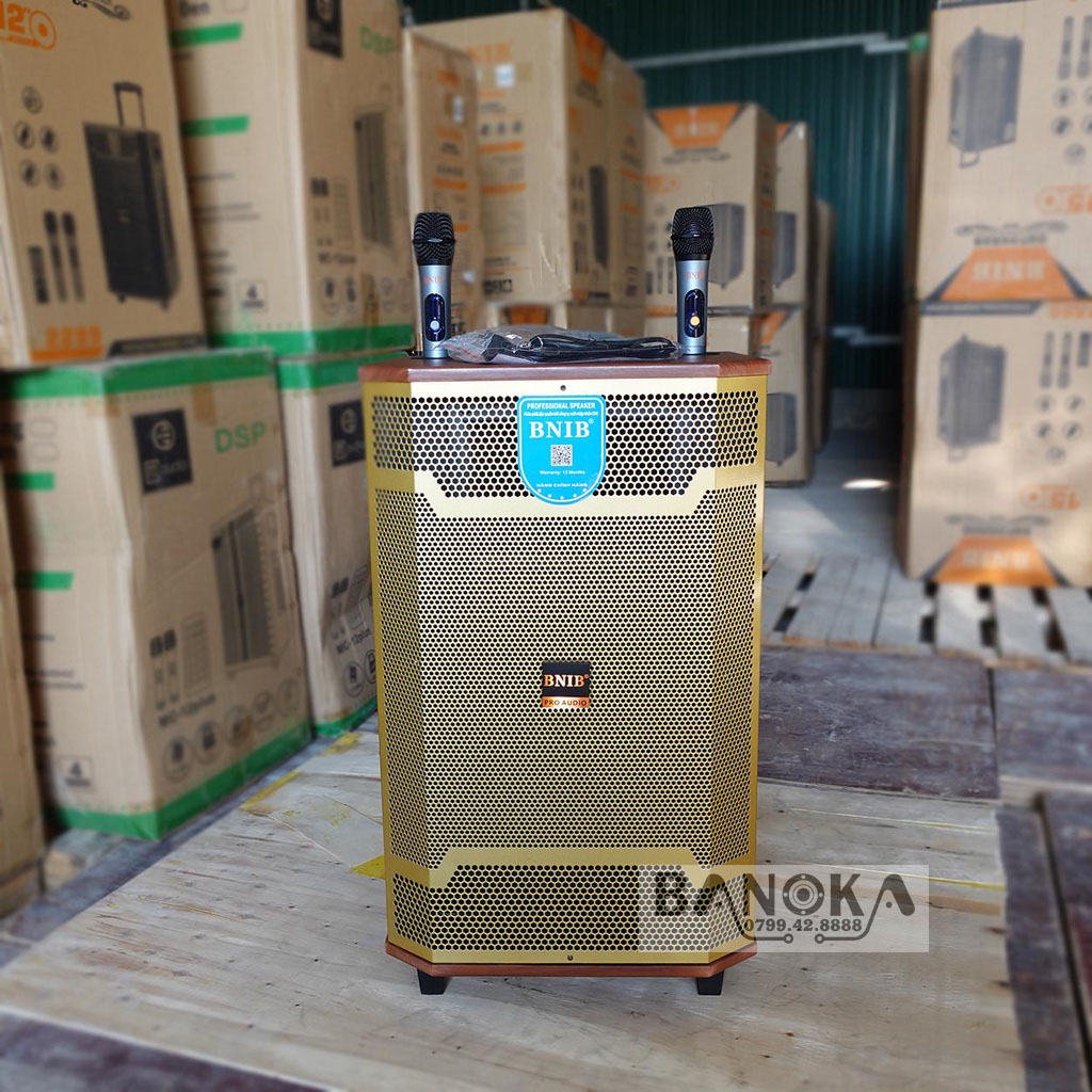 https://banoka.vn/Loa kéo BINB 2599 bass 40 mới nhất (1)